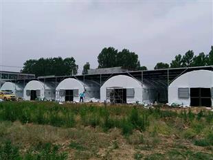 銀耳大棚-銀耳溫室大棚-包塑大棚