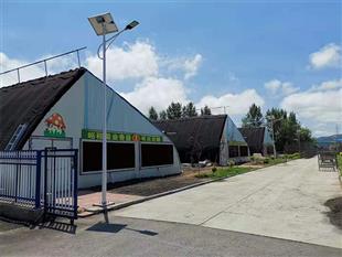 雙膜單體菌類大棚