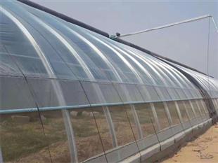 食用菌大棚建設